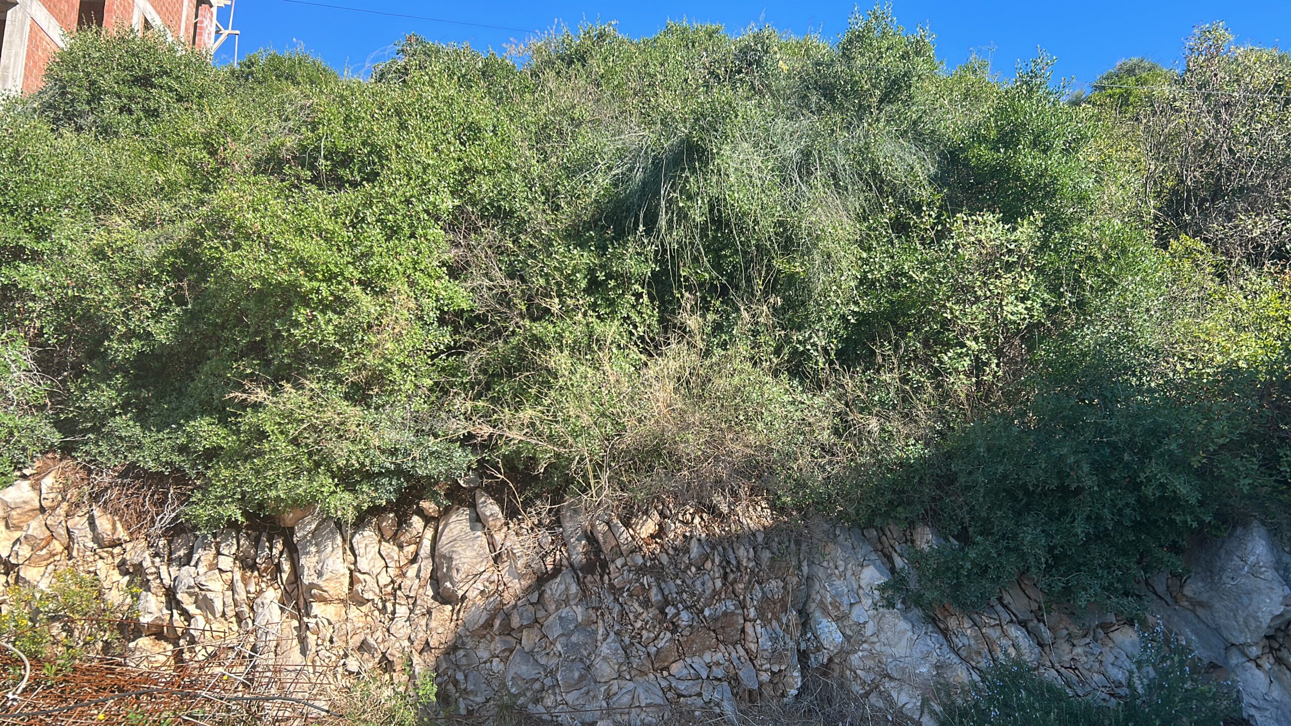 Urbanizovan Plac 900m² – Dobra Voda, Druga Linija od Mora