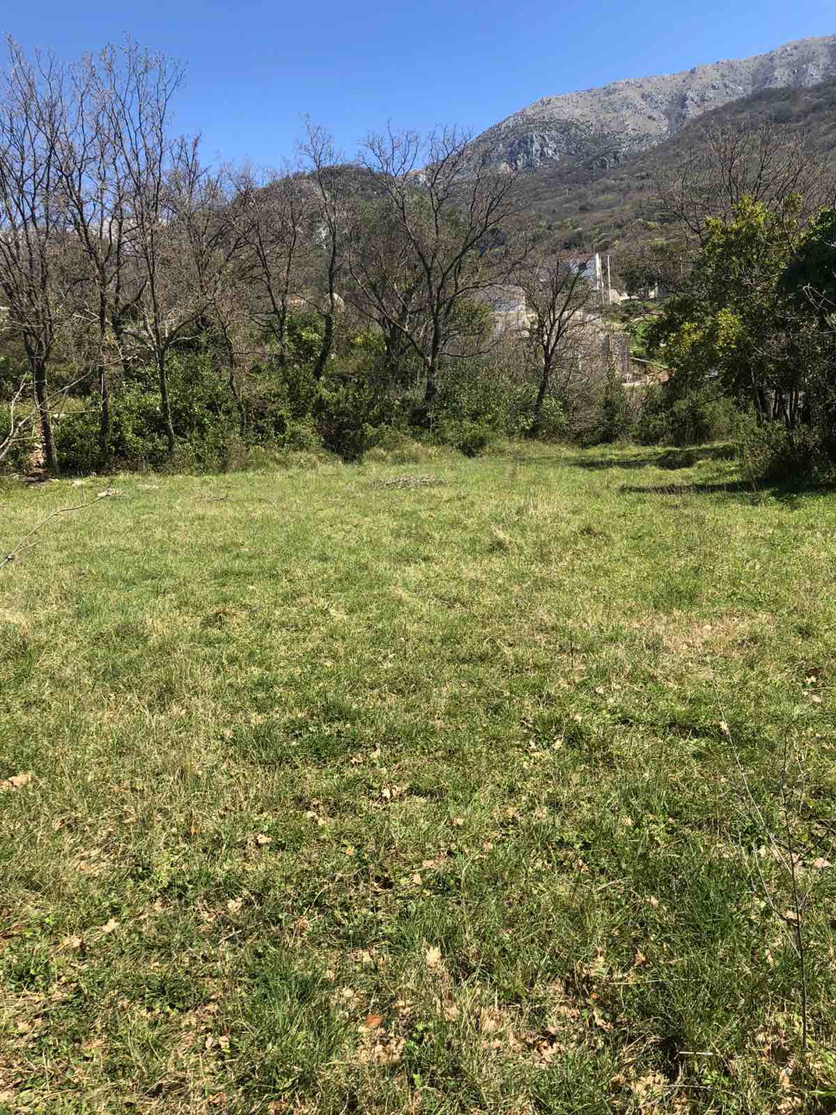 Read more about the article Plac 1.550 m² – Zaljevo, prelijep pogled, ruševina ucrtana u papirima